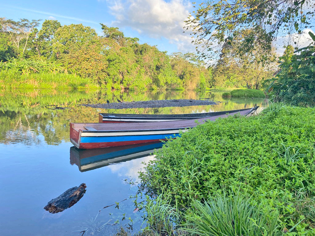 Return from Panama
