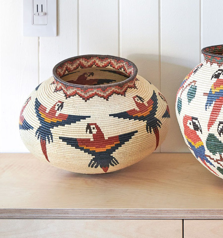 Macaws Woven Basket