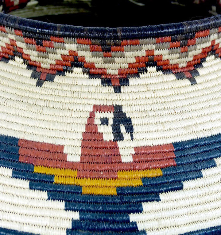 Macaws Woven Basket