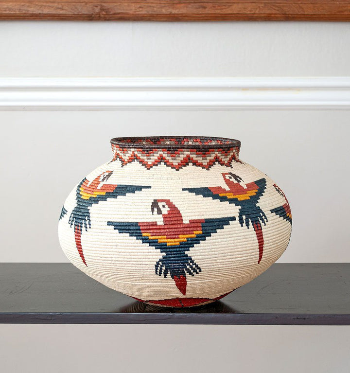 Macaws Woven Basket