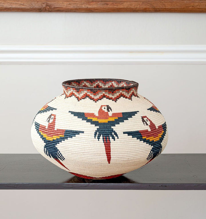 Macaws Woven Basket