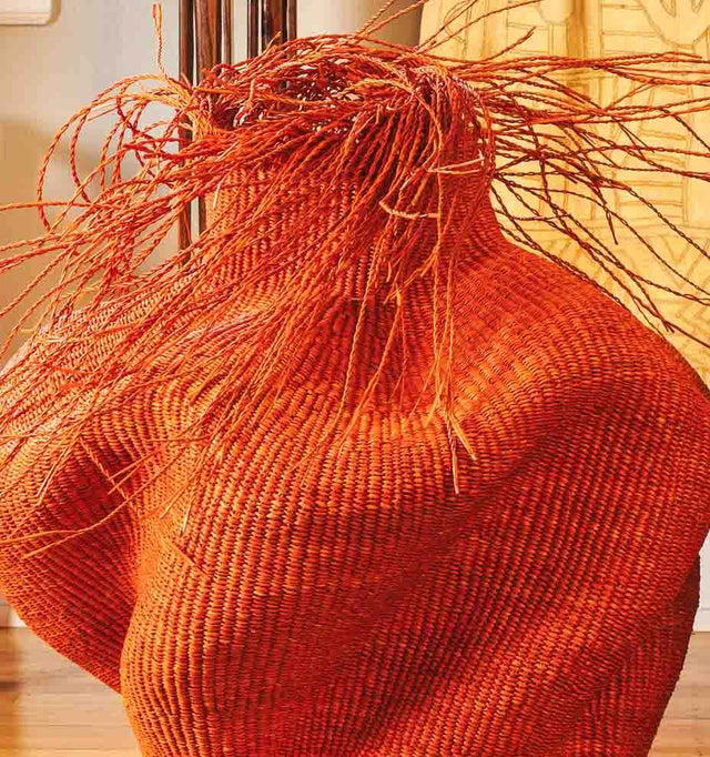 Hairy Red Wavy Basket