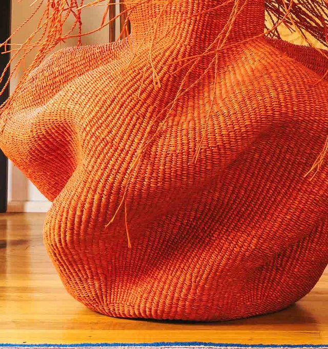 Hairy Red Wavy Basket