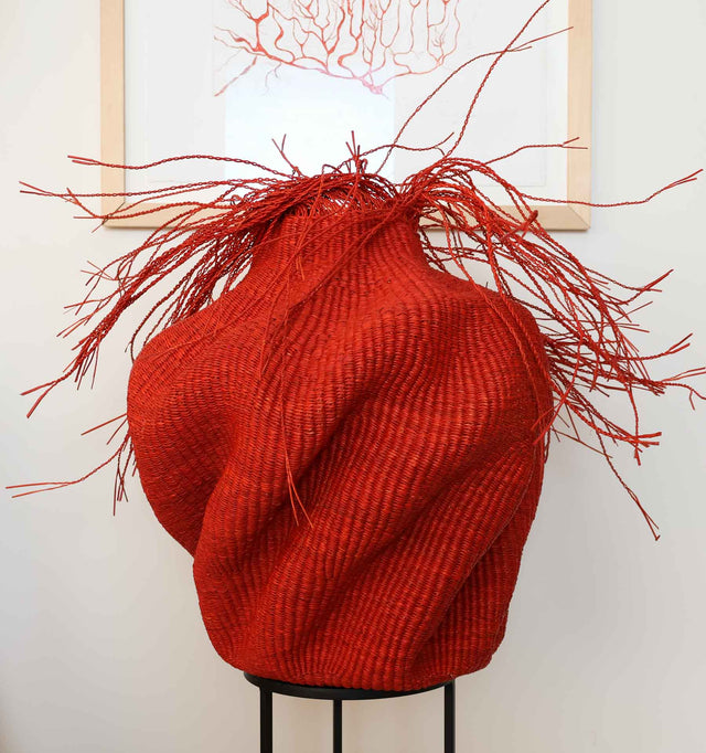 Red Waves Basket with Top Hair