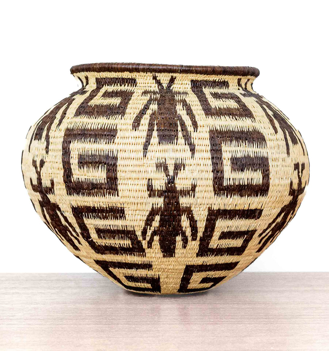 Jungle Insect Geometry Wounaan Basket