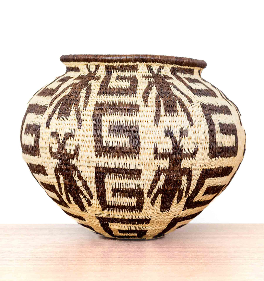 Jungle Insect Geometry Wounaan Basket
