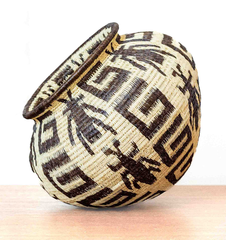 Jungle Insect Geometry Wounaan Basket