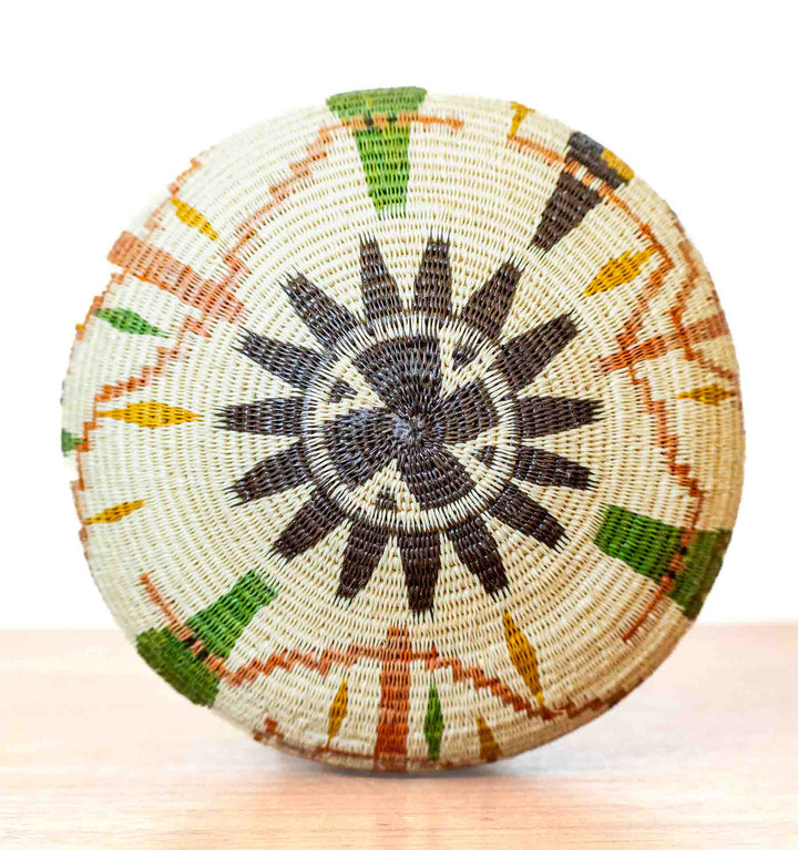 Circular base design with black sunburst motif surrounded by rainforest imagery.