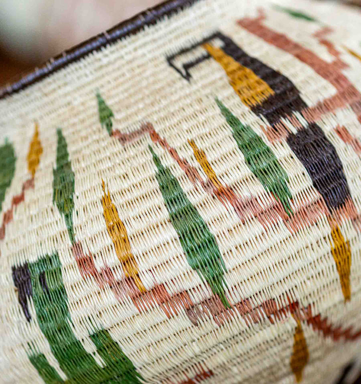 Wounaan basket showing green and rust leaf patterns alongside toucan figures