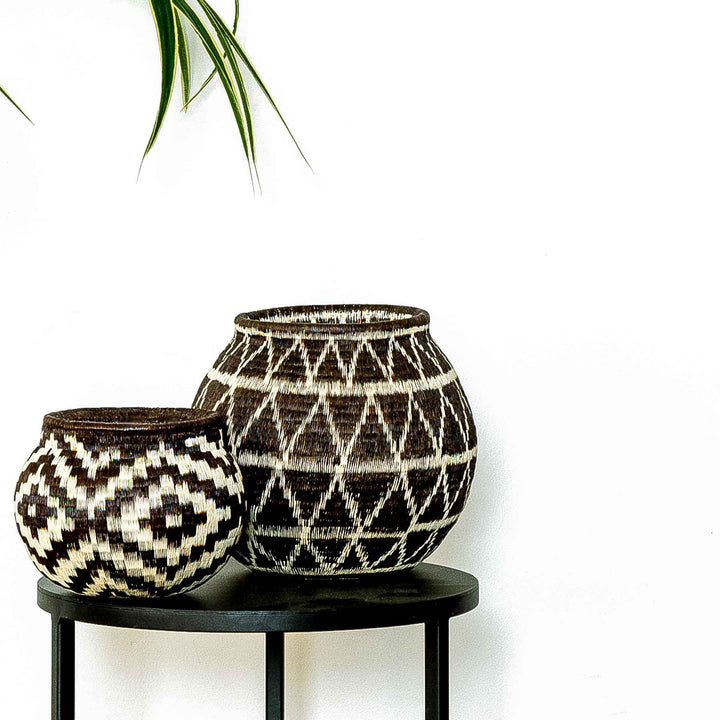 Handwoven Wounaan basket with star and diamond design in brown and cream