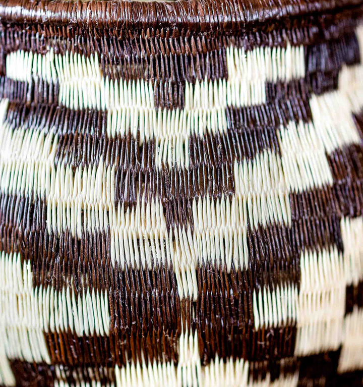 Echo Weave Wounaan Basket